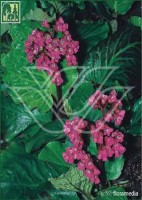 0160