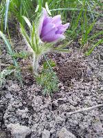 IMG 20160531 WA0001