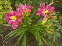 WP 20150720 18 44 39 Pro