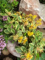 Изображение 060