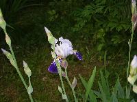 DSC06686