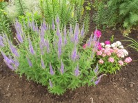 Изображение 054