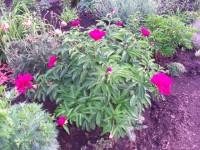 Изображение 050