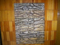 Изображение 037