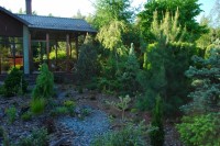 Летний фрагмент