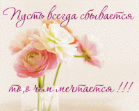 с днем рождения Плюшкину
