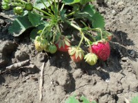 Изображение 059