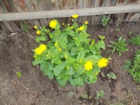 Изображение 044