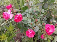 20140622 140141