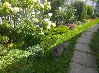 WP 20150802 13 47 12 Pro