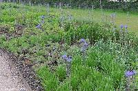 0 163c72 5be43776 orig