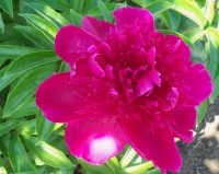 Изображение 058