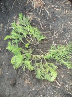 Изображение 048