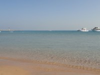 DSC01798
