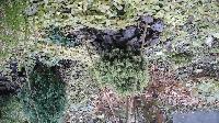 20151017 143846