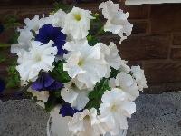 20150625 183809