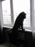 IMG 6314