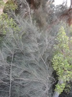 DSC01773