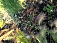 DSC00330
