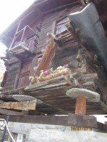 IMG 0245