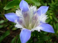 P1050237