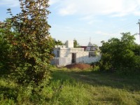 DSC07892