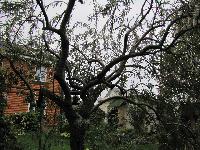 IMG 9342