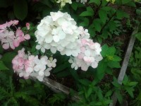 20120818 152909