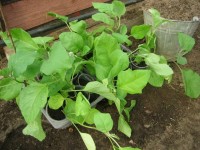 Изображение 011