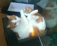 IMG 10 06 2015 073956