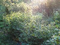 DSC07390