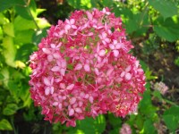 032