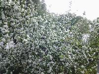20160530 094916