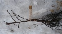 20140408 194622