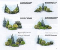 композиция мож и туи