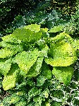 DSC00902