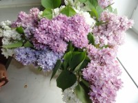 Изображение 076