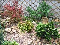 IMG 9629
