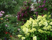 DSC04427