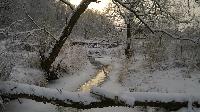 WP 20160106 11 32 28 Pro