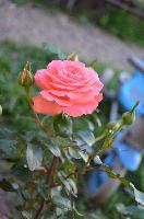 DSC 0048