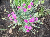 Изображение 047