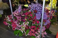 Выставка Цветы 2010 2