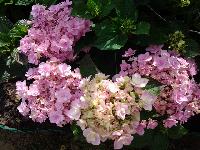 20140704 084950