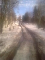 Представь  что это я лечу в сад