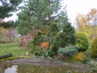 Изображение 039