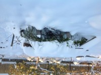 Снег выпал совсем рано    Еще только 16 октября