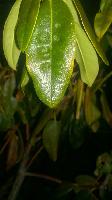 WP 20150727 21 04 10 Pro