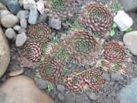 Изображение 049