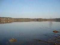 DSC06361